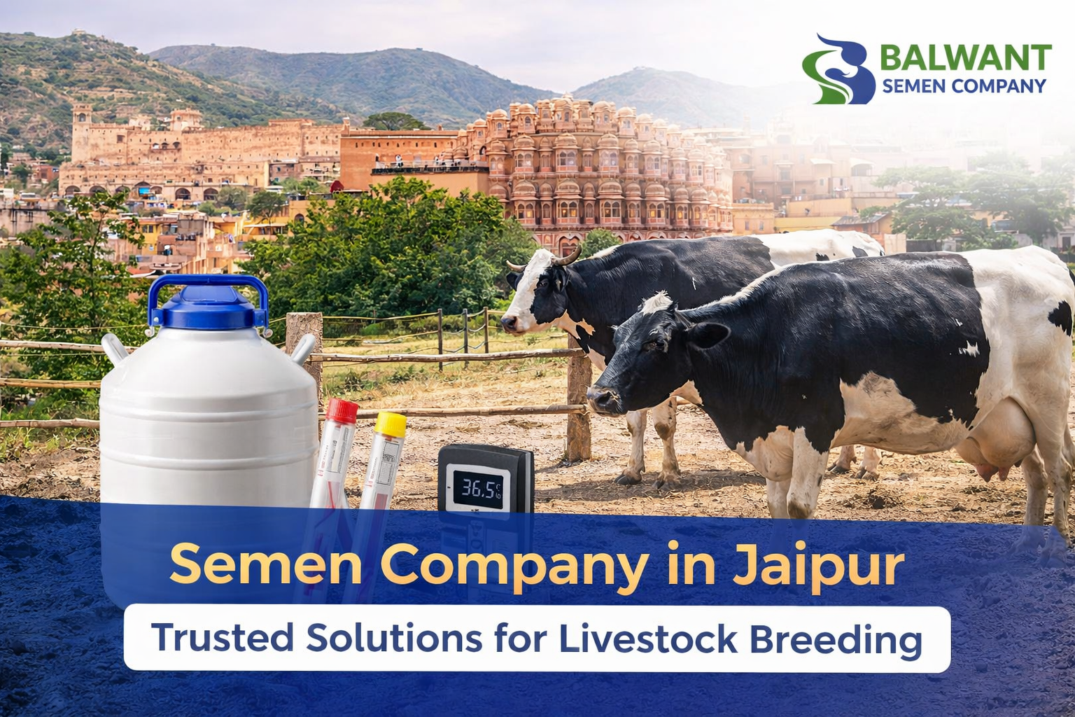 Construction Safety Tips